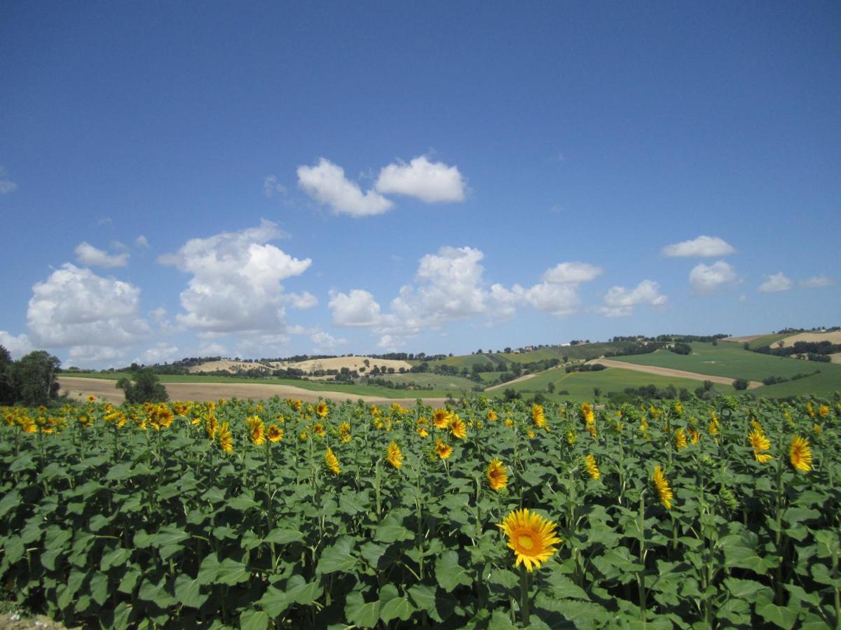 Il Giardino Nella Valle Belvedere Ostrense ภายนอก รูปภาพ