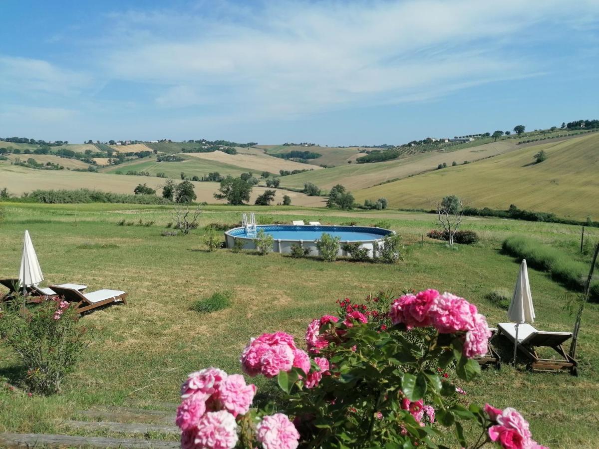 Il Giardino Nella Valle Belvedere Ostrense ภายนอก รูปภาพ