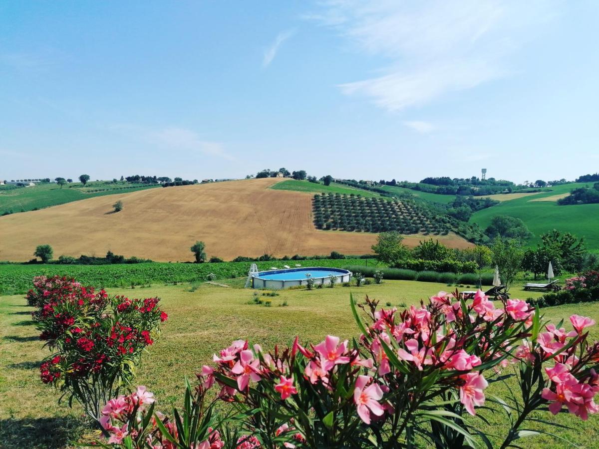 Il Giardino Nella Valle Belvedere Ostrense ภายนอก รูปภาพ