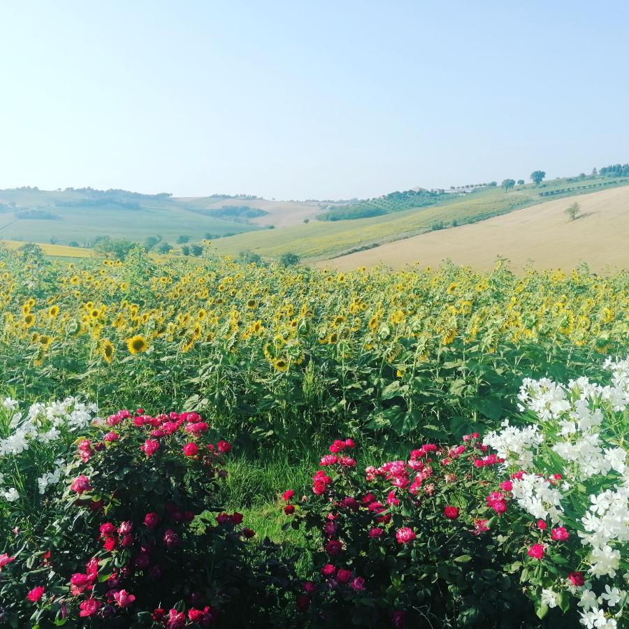 Il Giardino Nella Valle Belvedere Ostrense ภายนอก รูปภาพ