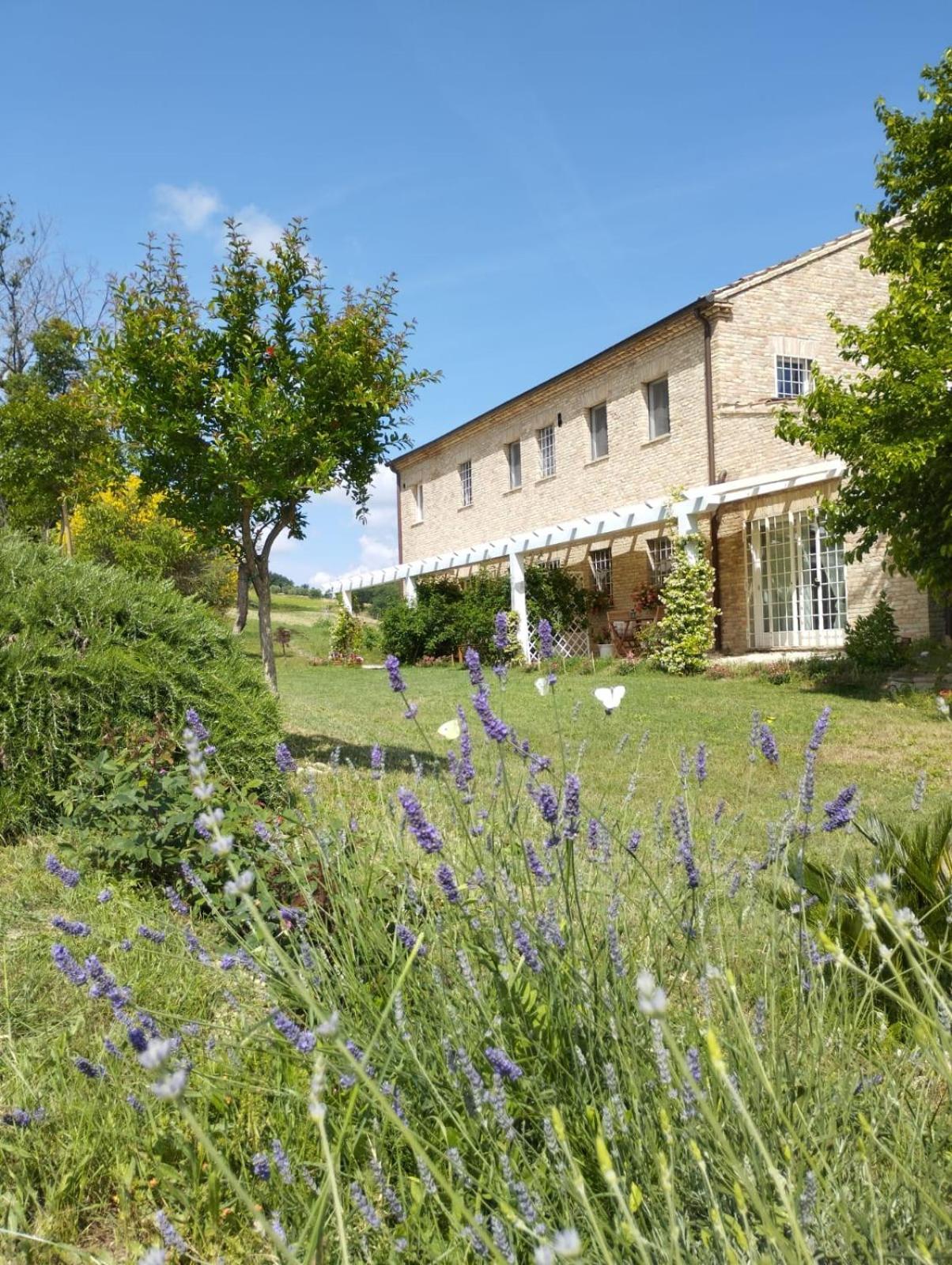 Il Giardino Nella Valle Belvedere Ostrense ห้อง รูปภาพ
