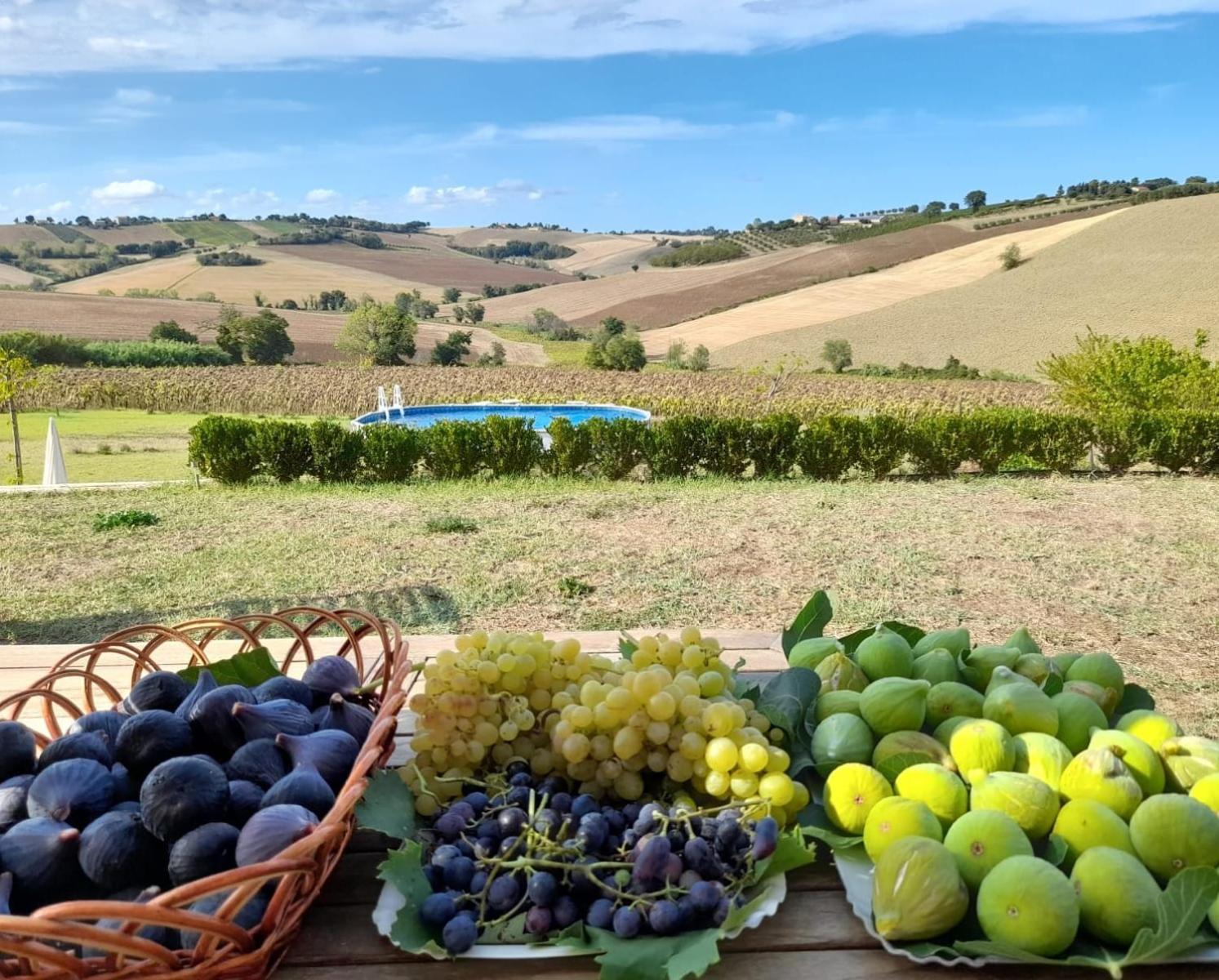 Il Giardino Nella Valle Belvedere Ostrense ภายนอก รูปภาพ