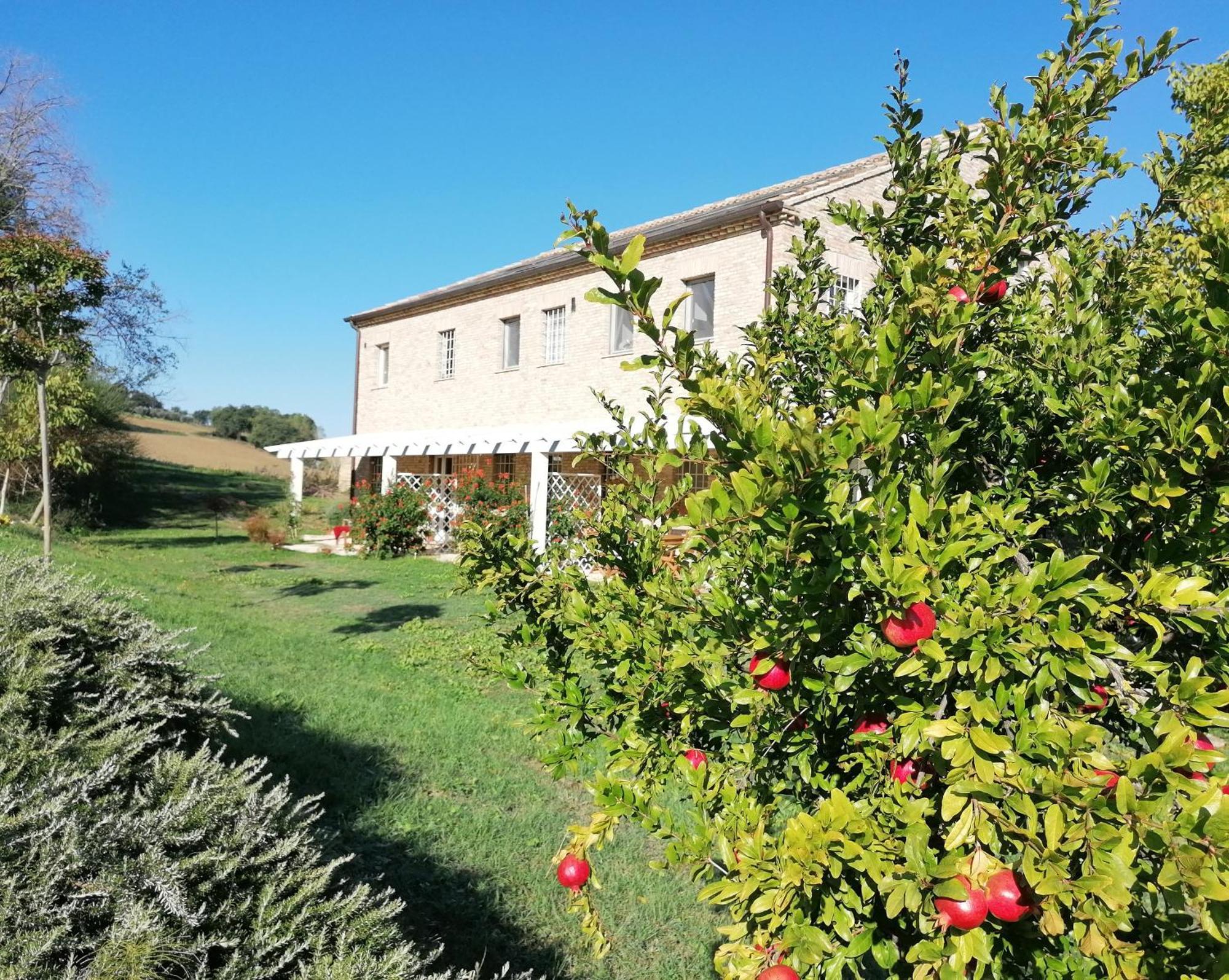 Il Giardino Nella Valle Belvedere Ostrense ภายนอก รูปภาพ
