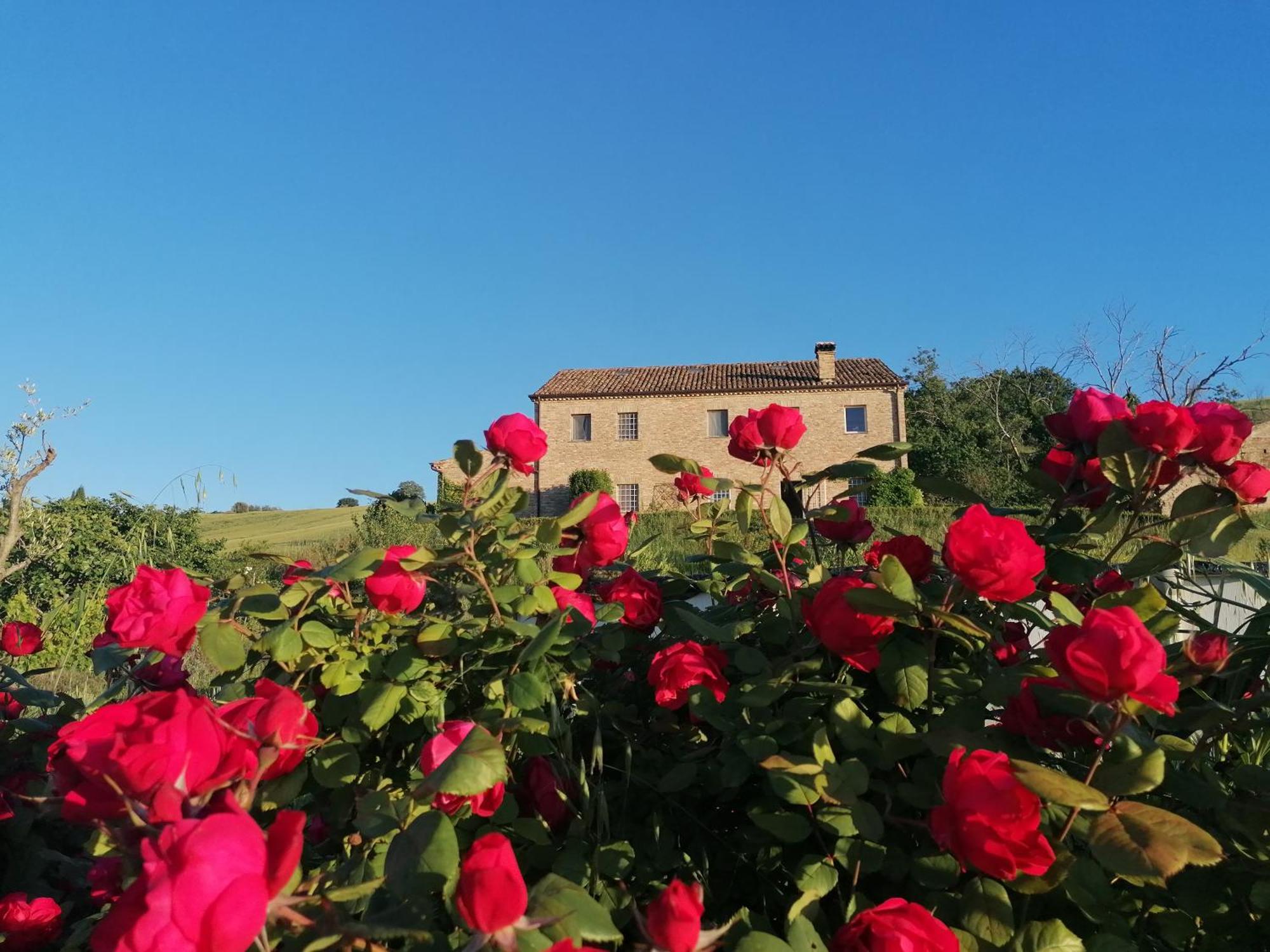 Il Giardino Nella Valle Belvedere Ostrense ภายนอก รูปภาพ