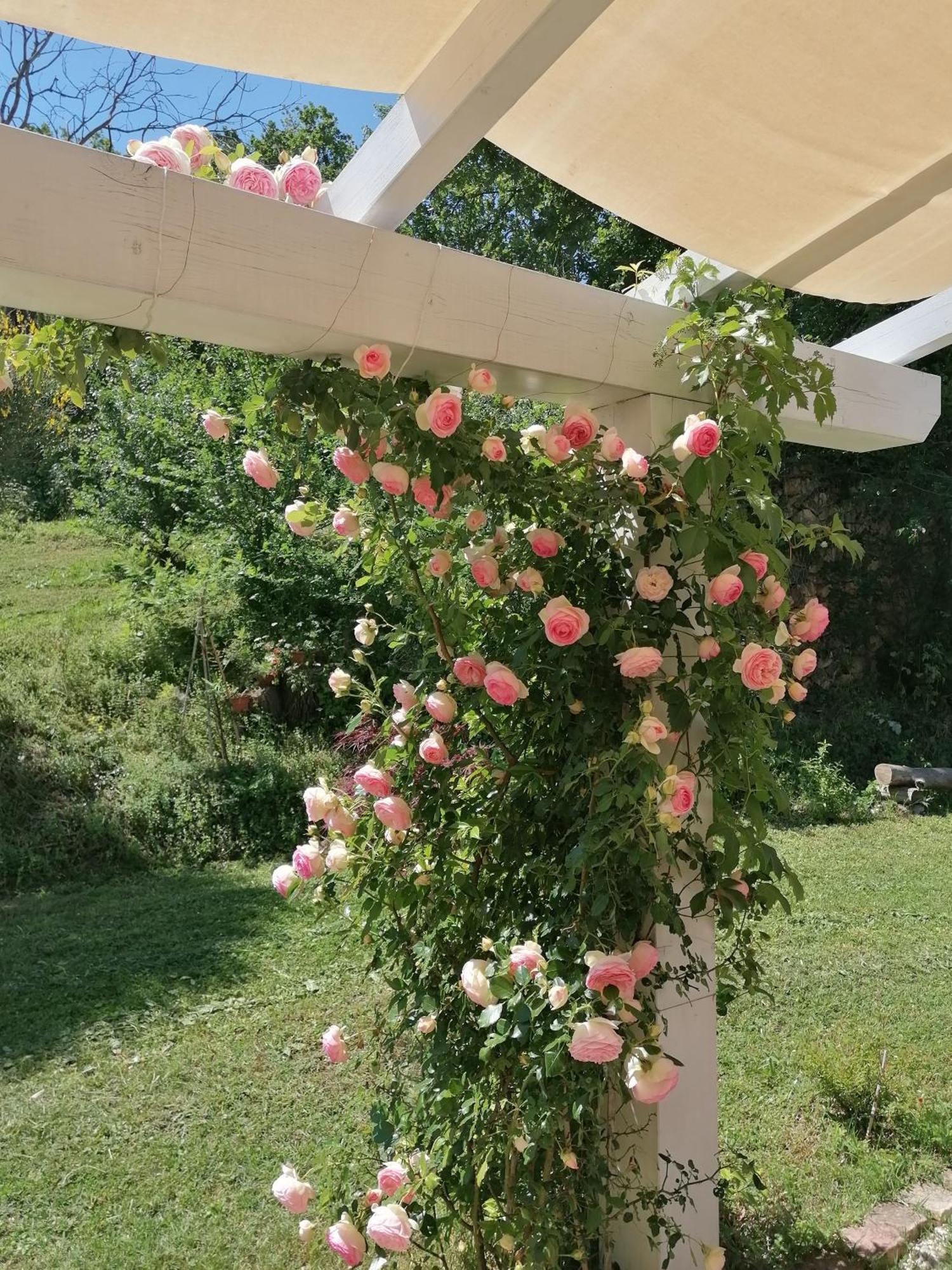 Il Giardino Nella Valle Belvedere Ostrense ภายนอก รูปภาพ