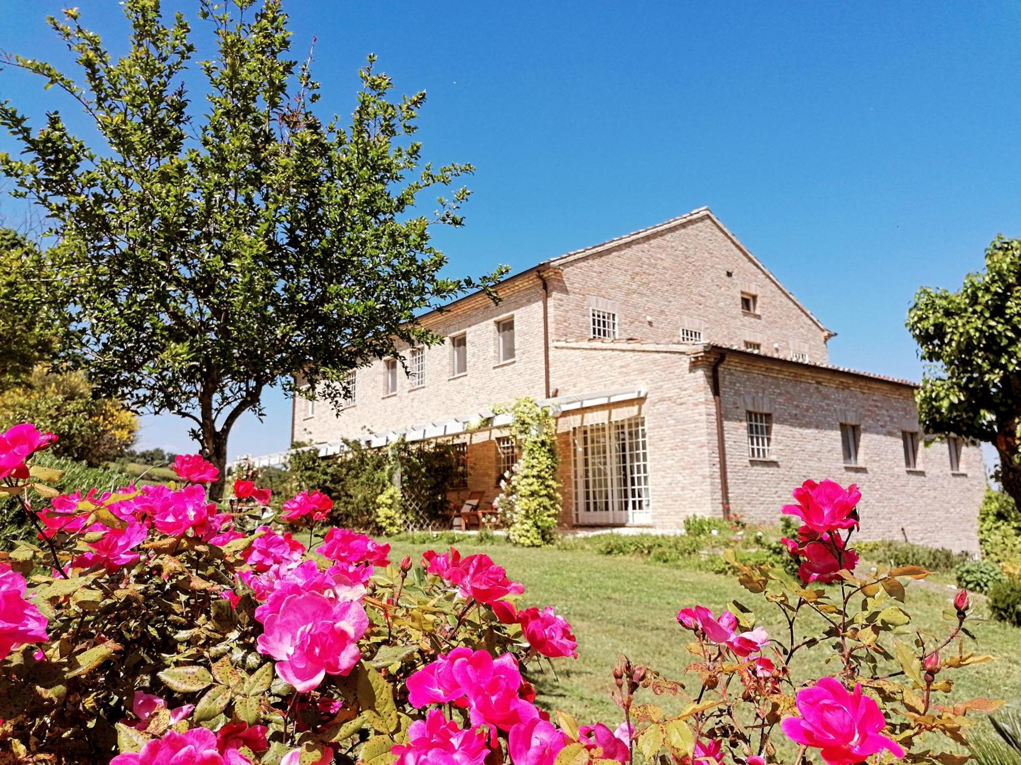 Il Giardino Nella Valle Belvedere Ostrense ภายนอก รูปภาพ