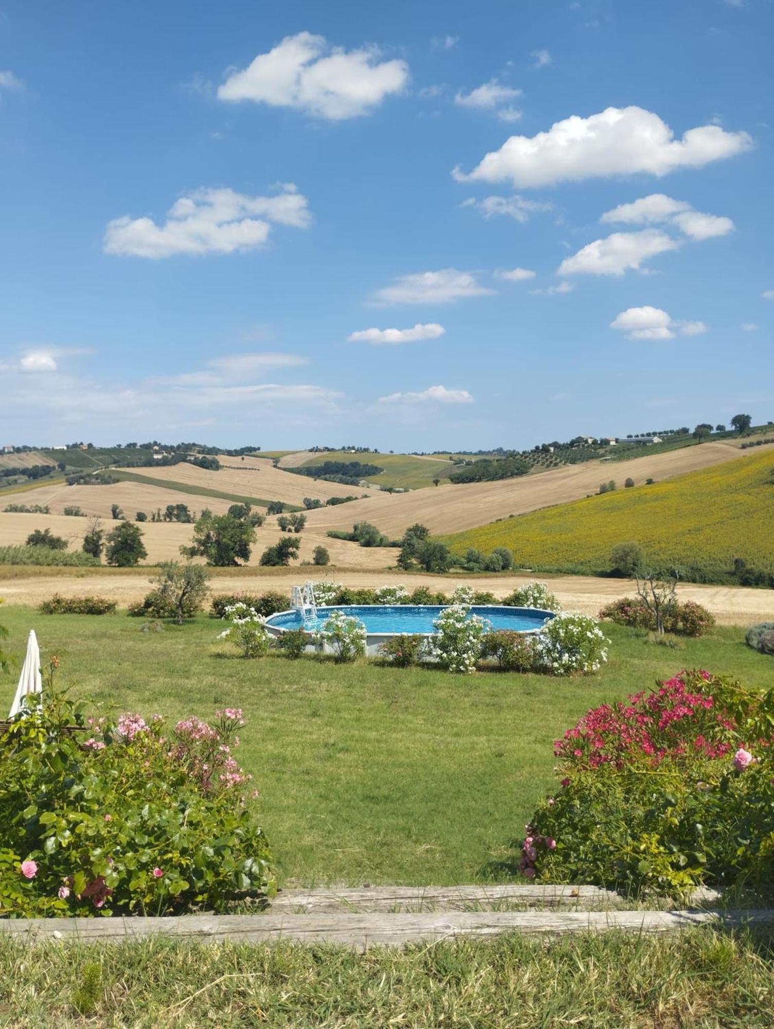 Il Giardino Nella Valle Belvedere Ostrense ภายนอก รูปภาพ